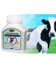 �İ���(����)ţ����ͺ�Ƭ