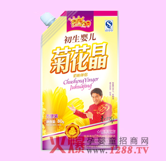 冠軍寶貝菊花晶