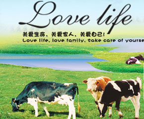 (i)Ø(l)I(yng)B(yng)׷ێL(zhng)