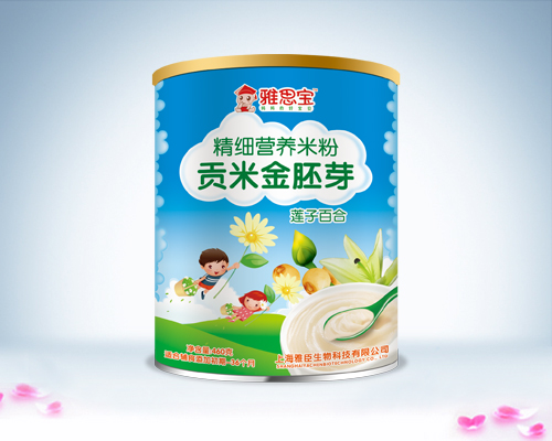雅思寶蓮子百合貢米金胚芽營(yíng)養(yǎng)米粉罐裝