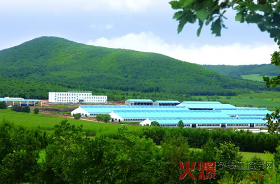 l(f)չw(jng)_ɽЄ