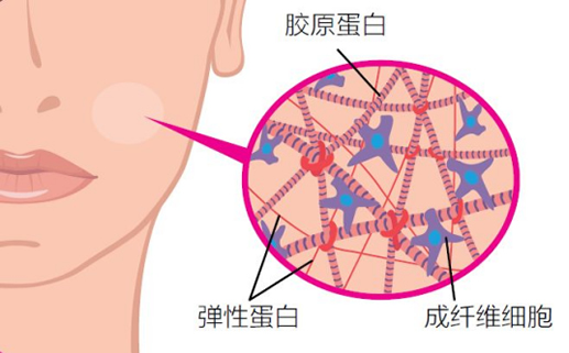 發(fā)票.jpg 發(fā)票.jpg