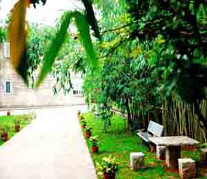 ���������o(h��)������չʾ