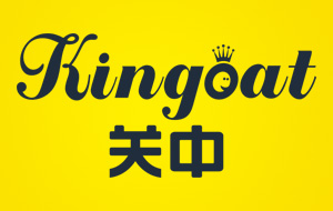 �P(gu��n)��