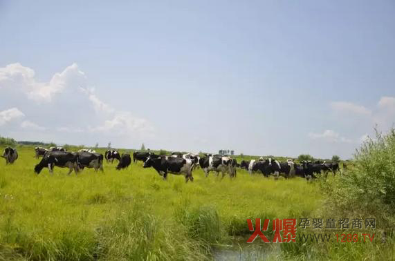 _ɽ̷۞Εܵ@ô˵ϲ