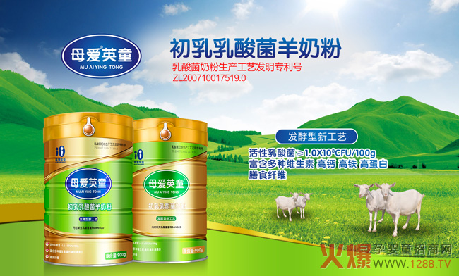 (zhn)pʮһu(ji)Ҫĸ(i)Ӣ̷ͯ@ӵĺîa(chn)Ʒ