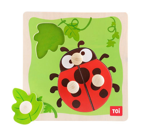 TOI 大手柄拼圖弗拉姆 - 瓢蟲.jpg TOI 大手柄拼圖弗拉姆 - 瓢蟲.jpg