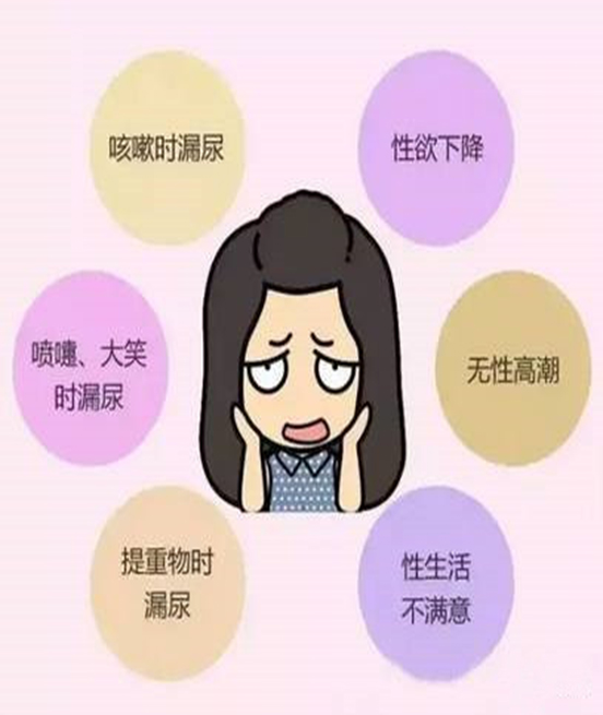 少林永化堂產(chǎn)后項目-盆底肌修復