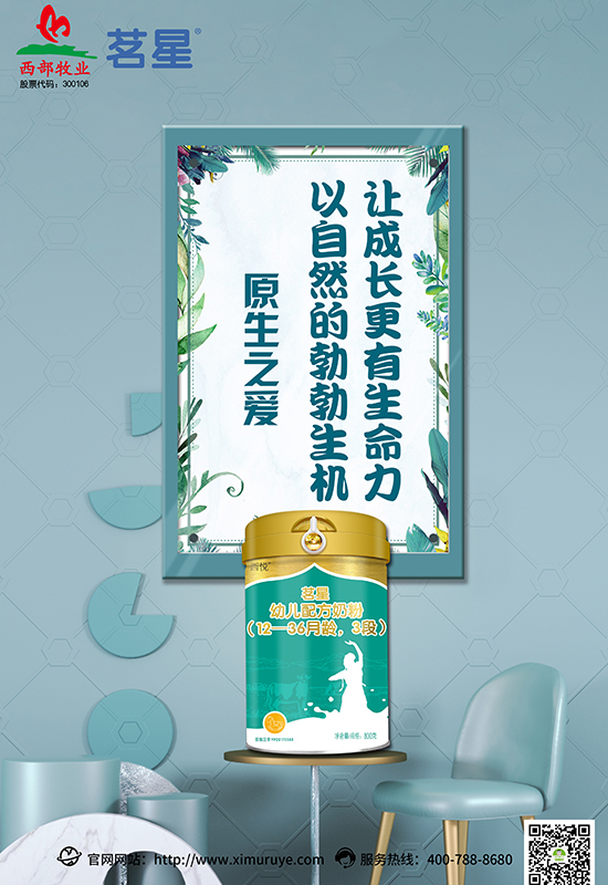 茗星幼兒配方奶粉招商5.jpg