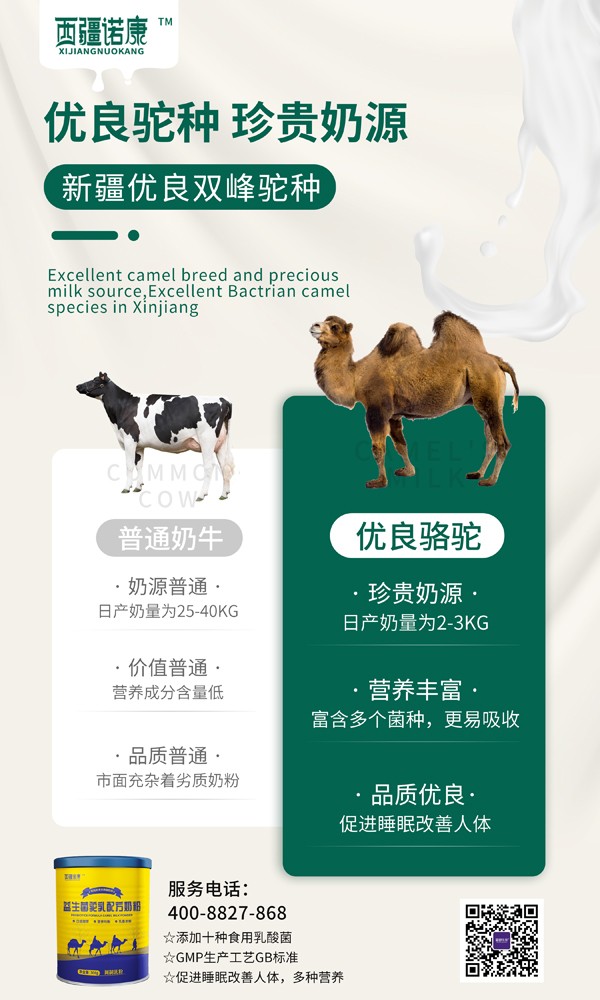 西疆諾康益生菌駝乳配方奶粉3.jpg
