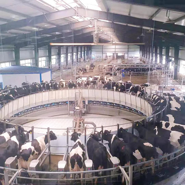 探訪每嘉工廠之旅 見證高品質(zhì)奶粉的誕生5.jpg