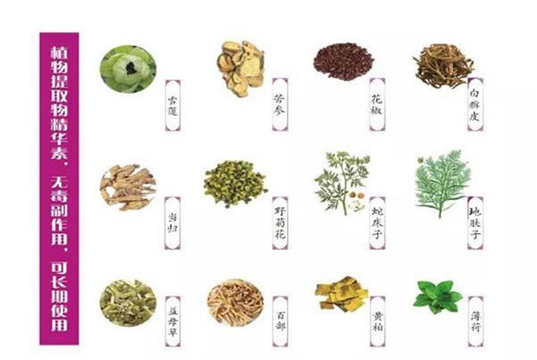 核心成分.jpg 核心成分.jpg