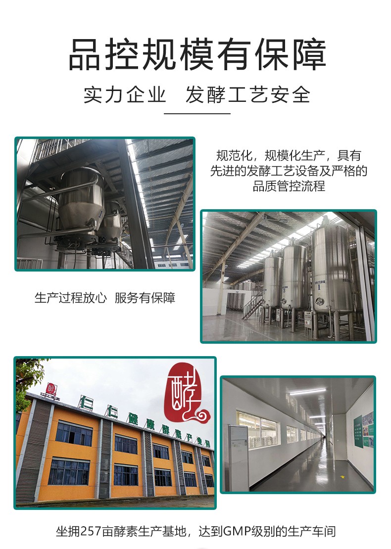 仁和酵科書酵素 (12).jpg