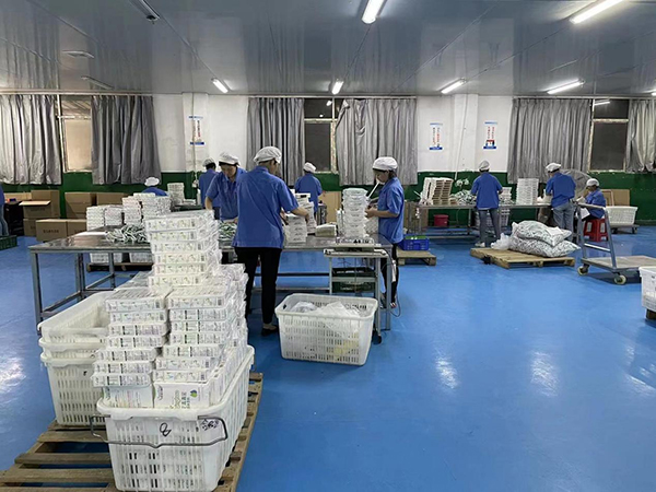 無菌無塵車間.jpg 無菌無塵車間.jpg