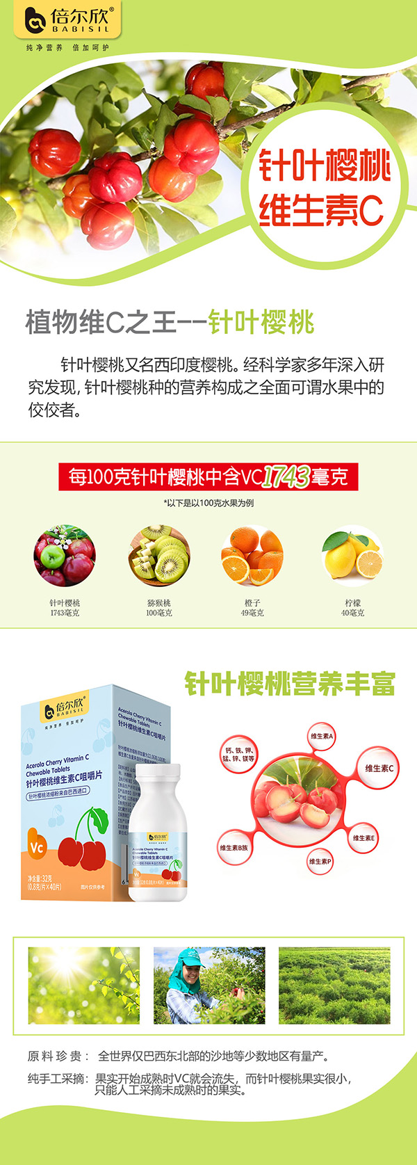 倍爾欣針葉櫻桃維生素C咀嚼片.jpg 倍爾欣針葉櫻桃維生素C咀嚼片.jpg