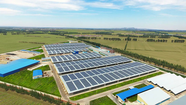 ԽxɽЇ(gu)r(nng)I(y)(lin) ˄(sh)Ƹ|(zh)l(f)չ6.jpg