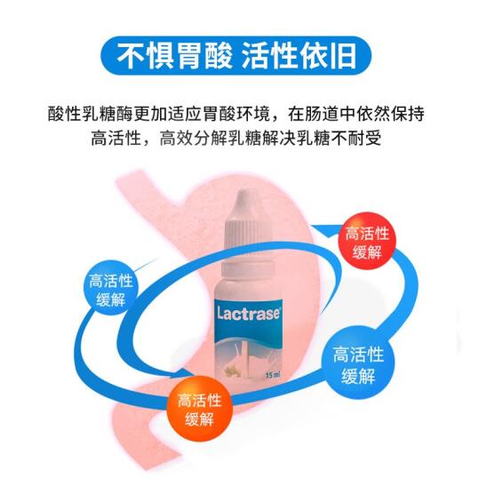 樂(lè)迪士酸性乳糖酶 (1).jpg