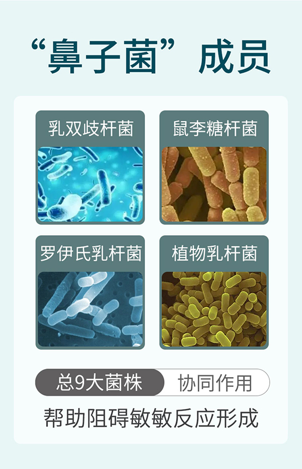 必慧龍愛(ài)敏康益生菌固體飲料詳情7.jpg