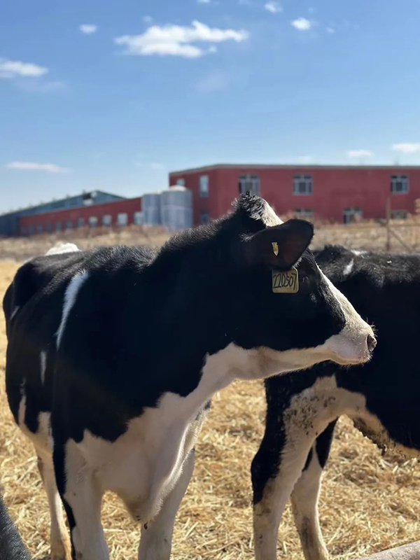 圖片7.jpg 圖片7.jpg