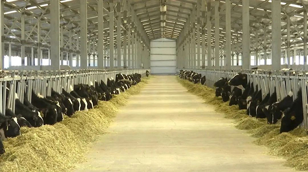 圖片3.jpg 圖片3.jpg