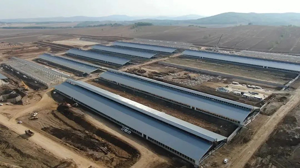 譜華威乳業(yè)集團(tuán)奶牛養(yǎng)殖牧場(chǎng)第三批奶牛入園成功4.jpg 譜華威乳業(yè)集團(tuán)奶牛養(yǎng)殖牧場(chǎng)第三批奶牛入園成功4.jpg