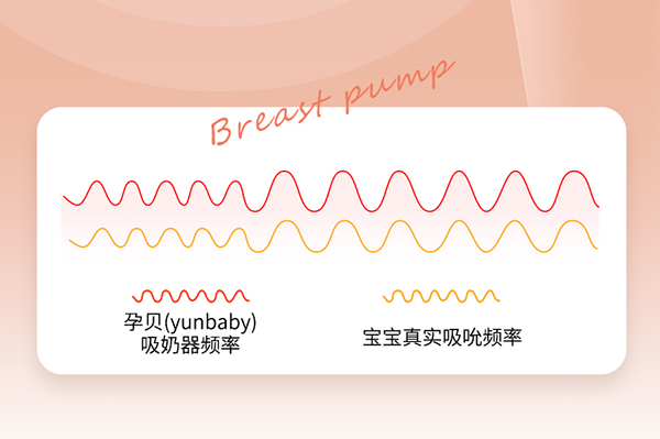 孕貝S19T電動(dòng)雙邊吸奶器詳情_(kāi)09.jpg