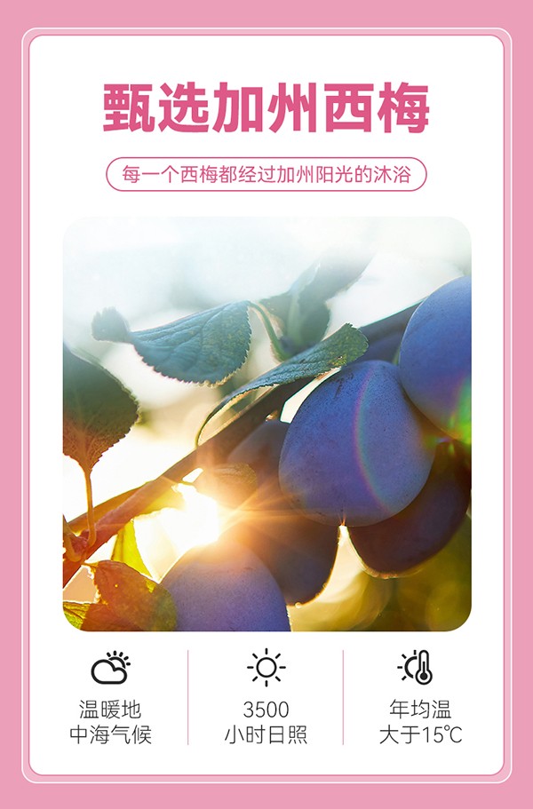 英貝健輕暢飲西梅果汁飲料 (3).jpg