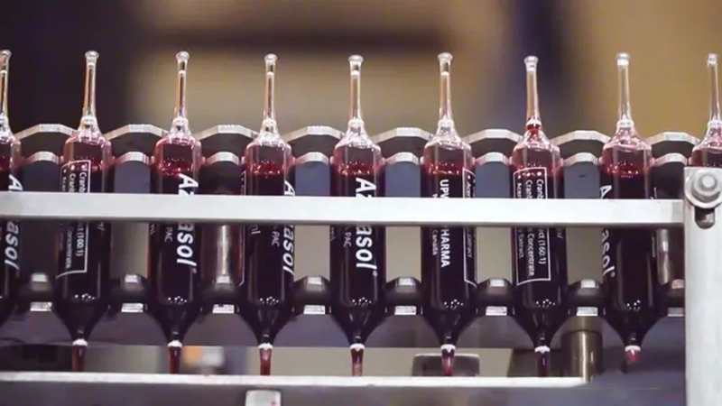 Up well奧普輝阿莫素03.jpg