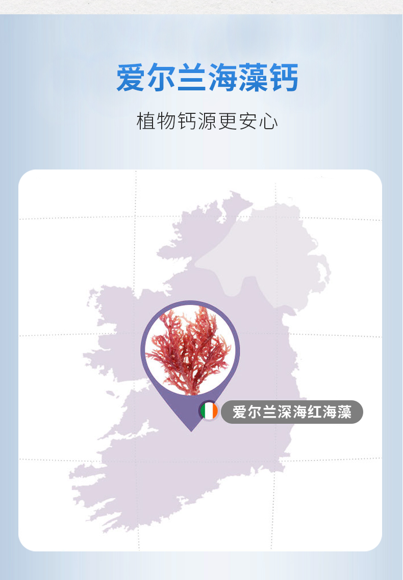 康葉海藻鈣粉詳情 (3).jpg