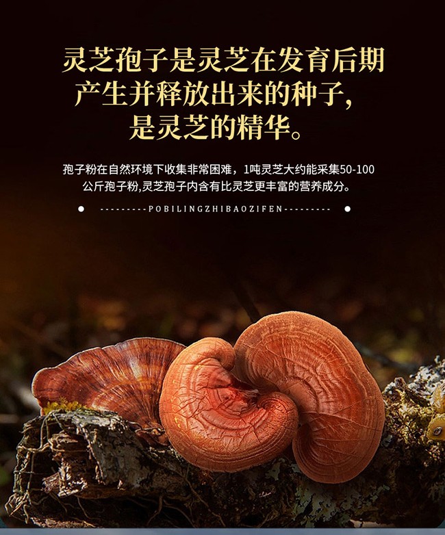 南京同仁堂樂(lè)家遐齡牌破壁靈芝孢子粉詳情 (3).jpg