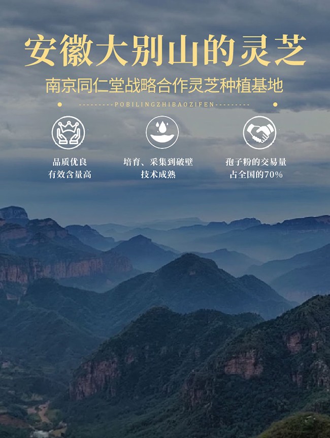 南京同仁堂樂(lè)家遐齡牌破壁靈芝孢子粉詳情 (4).jpg