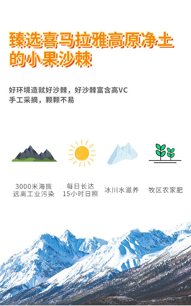 遙遠(yuǎn)地方沙棘果汁飲品詳情 (4).jpg