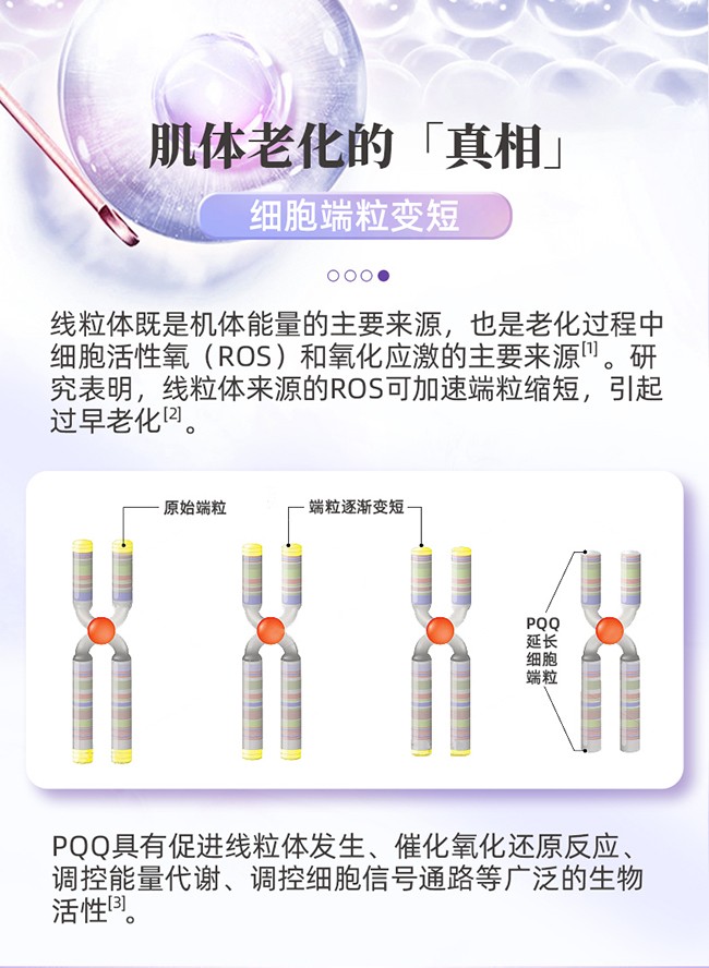 呀啦嗦PQQ蟲草原花青素時(shí)光飲詳情 (5).jpg