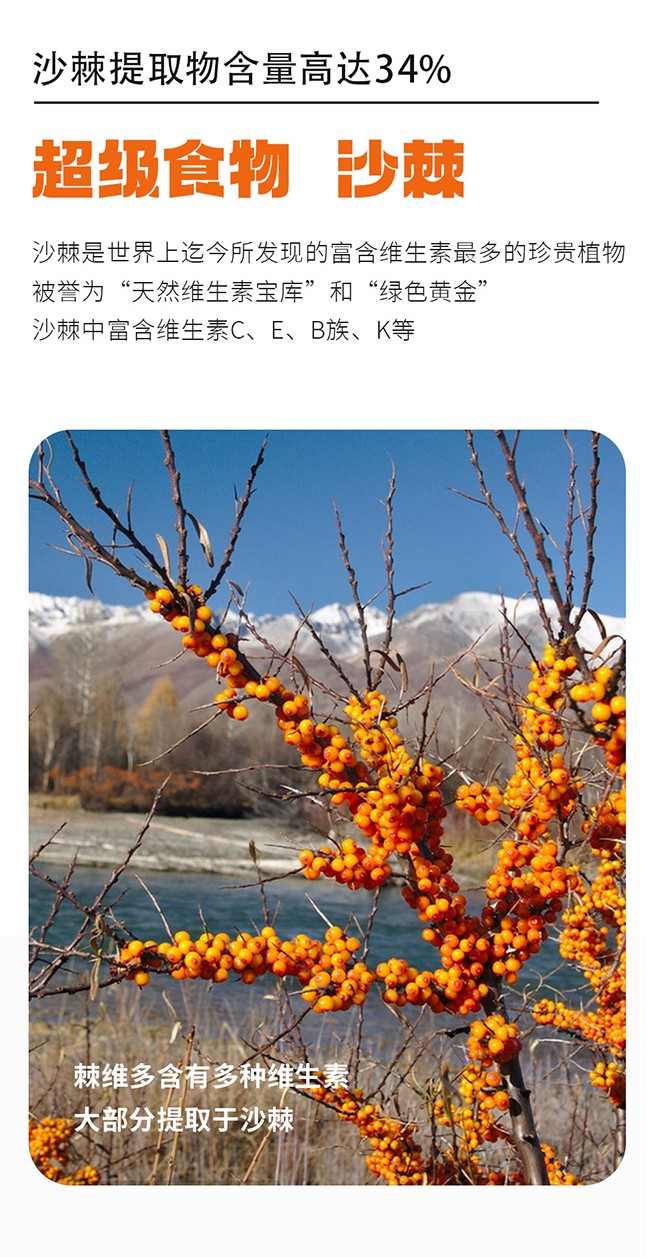 呀啦嗦棘維多沙棘多維咀嚼片詳情 (5).jpg