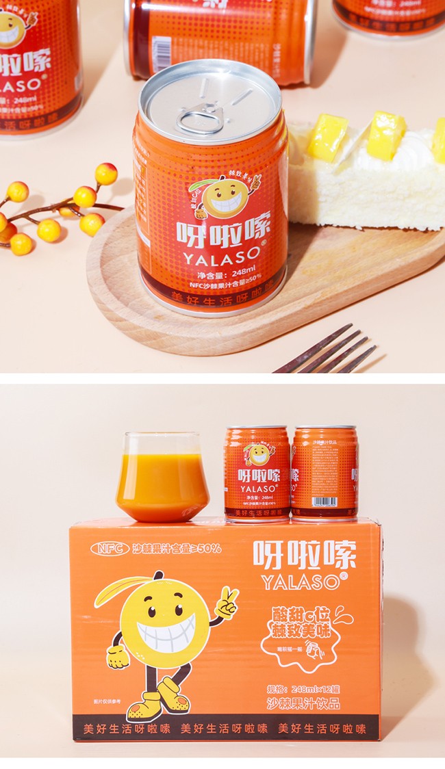 呀啦嗦沙棘果汁飲品248ml詳情 (8).jpg