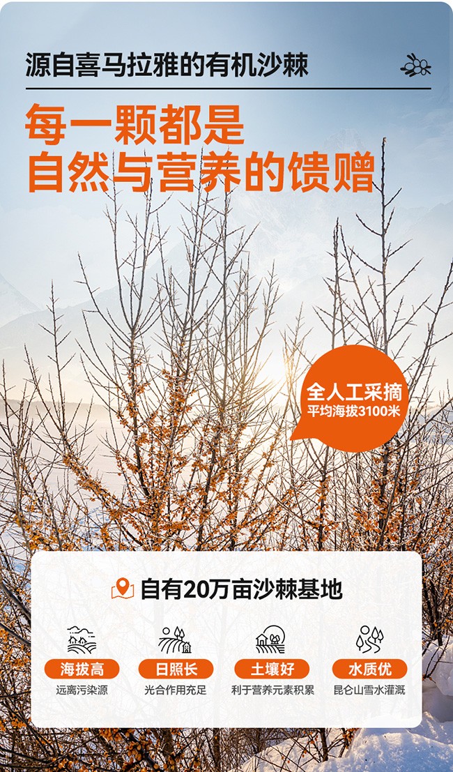 呀啦嗦有機(jī)沙棘原漿詳情 (8).jpg