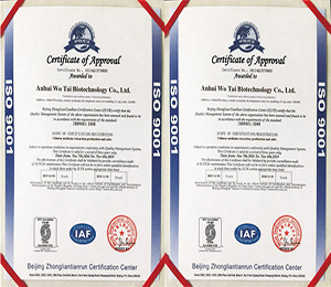 �Y�|(zh��)�C��