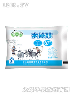 ���ľ�Ǵ�����