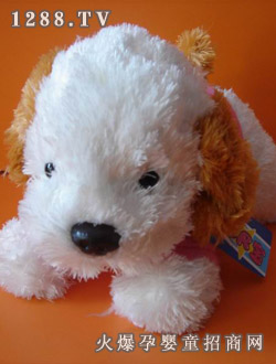 ���������¹�