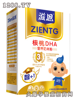 滋恩核桃DHA營養(yǎng)奶米粉