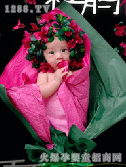 �Թ�֮���N���t