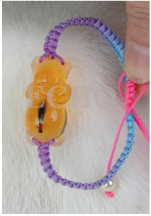 �ۿɌ�ؔ(c��i)��ţ���