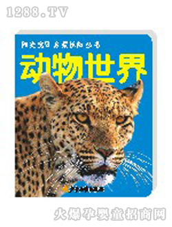 (yng)⌚ؐ(dng)熢Ʌ(sh)