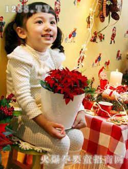 B2W2ʥ�Q�L������ɫ��ů���b