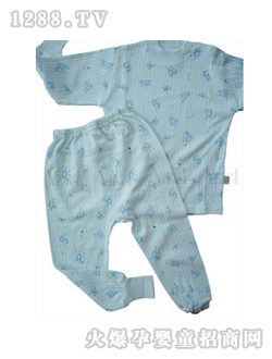 ANSEL��(n��i)�����b