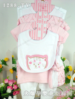 ANSEL���׃�8����