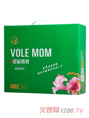 ���󋌋��Gɫ���׼�ͥ�b