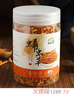 ��Ƥ��Ӽ�x��