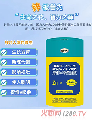 ������˹�p�\+VB�����